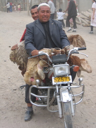 Two Guys, Two Sheep, One Bike: Kaghalik Bazaar