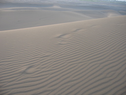 Taklamakan Desert