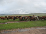 A Western Mongolia Travelogue